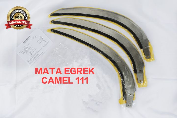 Yalangoch etuk eshaklar