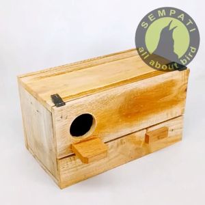 SEMPATI Glodok Parkit Glodokan Kayu Tempat Sarang Ternak Breeding Koloni Bertelur Kandang Burung Lovebird Parkit Kenari Dll GLPRKT
