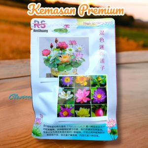 (KEMASAN PREMIUM) BIJI/BENIH BUNGA LOTUS MINI MIX