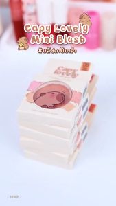 Sivanna Colors Capy Lovely Mini Blush 5g HF671 สิวันนา คาปิบาร่า บลัชออน ปัดแก้ม เนื้อเนียนละมุน