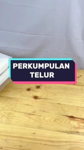 Huicome Tempat Telur 2 Tingkat: Kotak Penyimpanan Telur & Organizer Rak Telur
