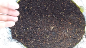 GIÁ THỂ TRỘN 8 THÀNH PHẦN TRATRASA – GIẢI PHÁP DINH DƯỠNG HỮU CƠ TỰ NHIÊN CHO MỌI LOẠI CÂY