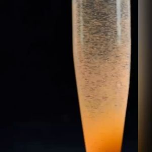 Advanced BBS Eggs (bohai) Baby Brine Shrimp Eggs Hatchable