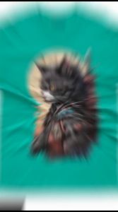 Kaos Distro Premium Samurai Cat VERSI 2: Desain 3D Baju Pria & Wanita Hitam