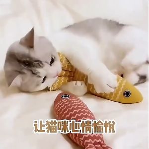 ของเล่น ตุ๊กตาปลาสอดไส้แคทนิป ขนาด หญ้าชนิดหนึ่งที่ซ่อนอยู่ในปลาส่งกลิ่นหอมตามธรรมชาติ ทำให้แมวรักมันมากยิ่งขึ้น