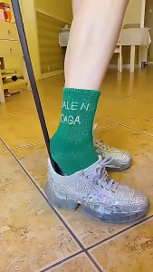 Philippines Shoe Helper for Elderly - Long Handle Non-Slip Horn Magnet Storage Easy Keep