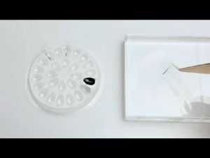 Tempat Lem Eyelash Extension: Aksesoris Penting untuk Makeup