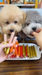 【Buy 10 Ship 40】 Dog Sausage Dog Treat Pet Treat Dog Snack Pet Snack Pet Sausage 15g