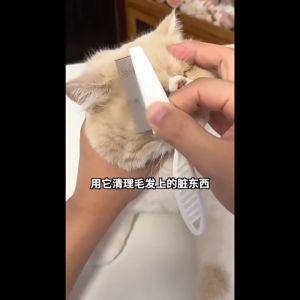 SISIR KUCING UNTUK KUTU DAN BUAT BULU RONTOK ANTI KUTU SISIR GROOMING KUCING