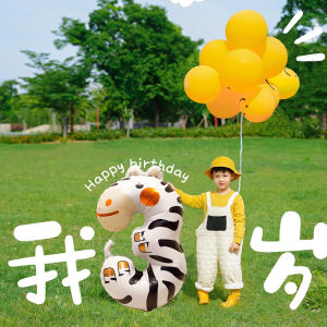 Outdoor Animal Balloons Childrens Birthday Decorations Boys Girls Baby Props Digital Number Balloons Festival Supplies