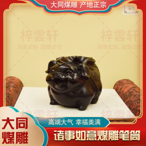 Cute Pet Dragonfly Coal Carving Study Desk Cute Pet Pig Penholder Desktop Decorations Creative Cultural Gift Ziyunxuan Home Decor