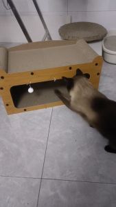 บ้านแมว ที่นอนแมว คอนโดแมว ที่นอนสัตว์เลี้ยง ที่ฝนเล็บแมว ที่ลับเล็บแมว บ้านลับเล็บแมว ของใช้แมว กล่องแมว ของเล่นแมว