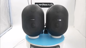 30W Wall-mounted Speaker Waterproof IP55 Public Address System Audio Passive Woofer Tweeter Background Music Pa Loudspeakers