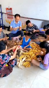 Máy Tách Hạt Ngô Khô Chuyên Dụng Dụng Cụ Tách Hạt NgôHạt Bắp Siêu Nhanh Tiện Dụng Trong Gia Đình
