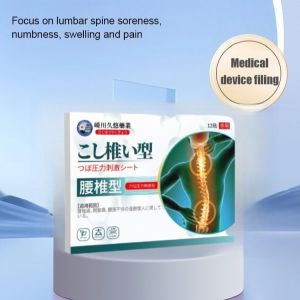 Lumbar Patch Paste for Pain Relief