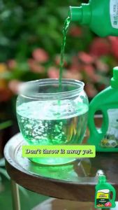 🔶500ml Universal type nutrients solution for plants hydroponic nutrient solution for fruit vegetable flower garden fertilizer for hydroponics and potted plants