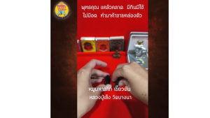 หมูมหาลาภ หมูเขี้ยวตัน ย้อนยุค รุ่น 113 ปี (รุ่น 2) หลวงพ่อเส็ง วัดบางนา จ.ปทุมธานี ปี 2556 เนื้อนวะ