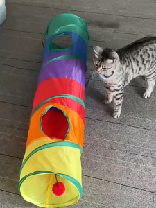 7 Color Funny Pet Cat Cave Tunnel Cat Play Rainbown Tunnel Brown Foldable 2 Holes Cat Tunnel Kitten Toy Bulk Toys Rabbit