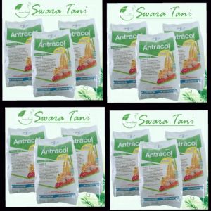 FUNGISIDA ANTRACOL 70 WP 1 Kg Pengendali Hama Semua Tanaman