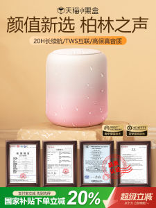 Portable Mini Bluetooth Speaker Wireless Outdoor High Quality Sound Bass Cannon Home Use New 2025 Niye Nai Ye BT2939