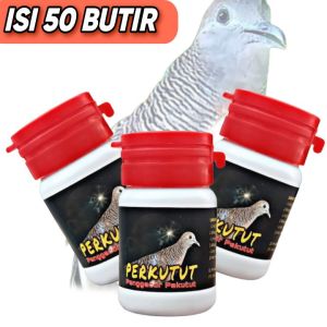 PIL PENGGACOR PERKUTUT PREMIUM ISI 100 BUTIR jamu perkutut lokal dan bangkok pil apbn prebiotic jpj madura koonobat cepat gacor jamu perkutut bangkok dan lokal malas bunyi vitamin burung puter derkuku tekukur pil sarang burung walet sangkar pakan burung