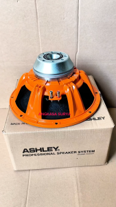 SPEAKER KOMPONEN ASHLEY ORANGE 123PRO ORIGINAL/ Speaker Component 12 inch Ashley Orange 123 Pro Neo