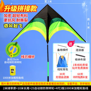 Large Size Professional Kite Easy to Fly in Light Wind for Adults New 2025 Grassland Kite Sport Fitness Fans Supplies