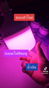 หลอดไฟ LED หลอดไฟแสงชมพู แสงน้ำเงิน หลอดปิงปอง LED ใช้ล่อหมึก กุ้ง ขั้วเกลียว 60W (ขั้ว E27)