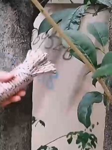 6 pcs  Tali Nylon / Tali Khemal / Clothes Rope/ Rapping Rope / Nylon Rope / Paracord Cord Rope