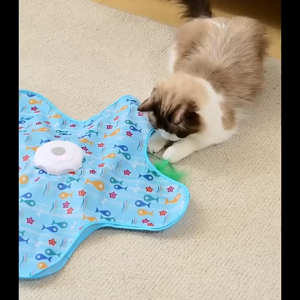 Automatic Interactive Cat Toy Hunting Hood with Spinning Wheel Feathers Durable Pet Game Cover Interactive Cat Entertainer