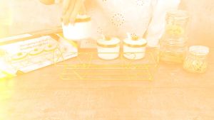 Fiorenza Tempat bumbu set isi 3 porcelain + rak motif lis mas white  LGM-812Q