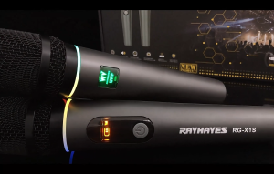 RAYHAYES RG-X1S Professional Microphone Wireless UHF Handheld Rechargeable For Karaoke Mikrofon