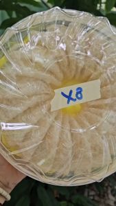 Yến sào tinh chế sợi ngắn xơ rối đắp tổ - yến sào nguyên chất Khánh Hoà