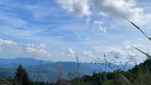 Santic Cycling Shorts For Men 4d Coolmax Padded Summer Breathable Mtb Bike Short Pants Bicycle Tights KM1C05136