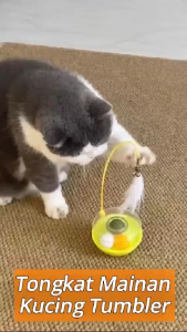 Byshow 360°Tumbler Cat Toy Interactive Teaser Stick kitten toys with Catnip Ball Feathers Detachable ABS Bite Resistant Base murah mainan untuk kucing