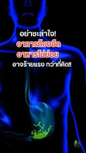 ชุดของขมิ้นชันแคปซูล กิฟฟารีน ท้องอืด ท้องเฟ้อ กรดไหลย้อน เคอร์คิวมา ซี-อี ขมิ้นชัน Giffarine สำหรับผู้ชาย 50 กรณี