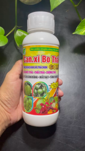CANXI BO THÁI 500ML và 1 gói kalibo hồng 50g - Chống rụng hoa và trái non chống nứt trái thối trái sượng trái