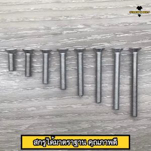 น็อต สกรู หัวเตเปอร์ แฉก F+ สแตนเลส 304 เกลียวมิล หยาบ M2.5 / Flat Head Phillip Machine Screw SUS304 M2.5