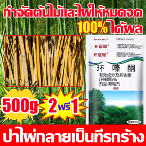 🔥ซื้อ2แถม1🔥 กำจัดต้นไม้และไผ่ให้หมดจด ยาฆ่าไผ่ ไม้ไผ่ร้อยปีรากเน่า ผลลัพธ์ที่รวดเร็ว ผงกำจัดกอไผ่ ฆ่าไม้ไผ่ทุกชนิดได้ง่ายๆ ต้นไม้ ยาฆ่าไม้ไผ่ ไม่เป็นอันตรายต่อดิน ยากำจัดกอไผ่ ไม่มีสารเคมี ผงฆ่ากอไผ่ ยาฆ่าต้นไม้ใหญ สารกำจัดก่อไผ่ เม็ดกำจัดต้นไม้