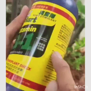 PUPUK VITAMIN B1 LIQUINOX TAIWAN 100ML - HORMON AKAR TANAMAN
