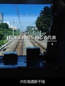 Bán Nóng [ Vận chuyển từ Trung Quốc ]2025 Sản Phẩm Mới Cá Chép Nhỏ Cá Diếc Cá Nổi Tôm Phao Nhỏ Phao Nhỏ Đầu Phẳng Túi Nhỏ Phao Nhỏ JK