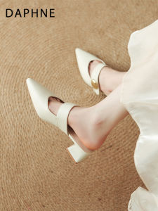 Daphne | PointedToe CoarseHeel Women Mules Slippers
