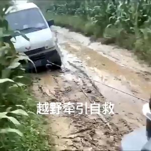 🔥🔥CHRIS Electric Hoist Crane Winch Remote Control Cable Rope Electric Lift Hoist Crane 4500lbs 起重机