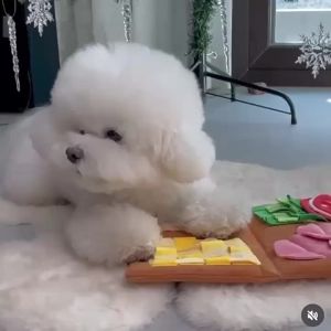 Pet Dog Snuffle Mat Puzzle Plush Dog Toys for Small Medium Dogs Dog Slow Food Toys Feeding Bowl Food Dispenser Treats Pad