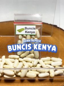 Benih Buncis Kenya Unggulan Berkualitas biji bibit repack phaseolus vulgaris tegak hydroponik hidroponik sayuran sayur