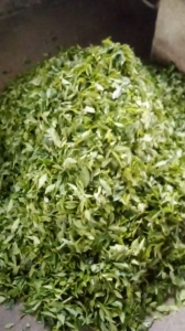 [THƯỢNG HẠNG] Trà Xanh Tân Cương Thái Nguyên Cao Cấp - Trà Bắc Thơm Ngon Tinh Khiết