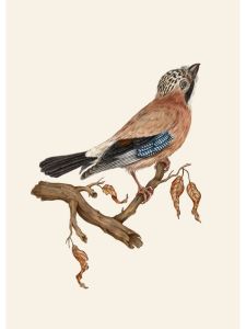 Flower Wall Art Canvas Painting Nordic Posters Prints Pictures for Living Room Decor Vintage Goldfinch Landscape Bird