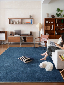 HONGLIDA | Modern Minimalist Blue No Maintenance Carpet
