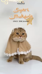 Pomapoo - Kostum Kucing dan Kostum Anjing Syari Mukena