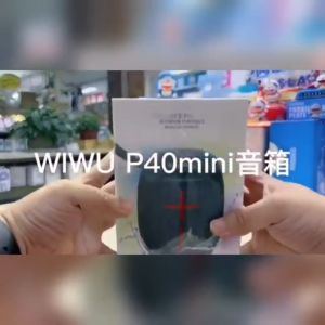 Loa Bluetooth WIWU Thunder P40 Mini công xuất 10W Trang bị đèn led chống nước . Hàng chính hãng bảo hành 6 tháng